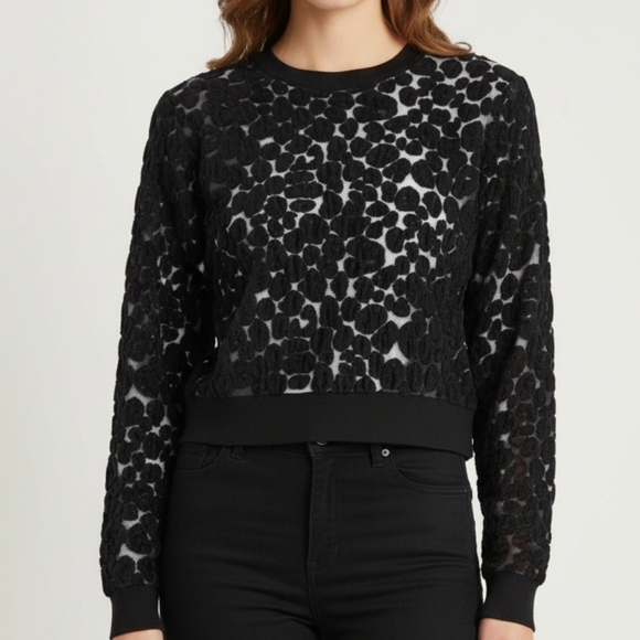 Philosophy Sweaters - Philosophy Republic Cropped Sweater